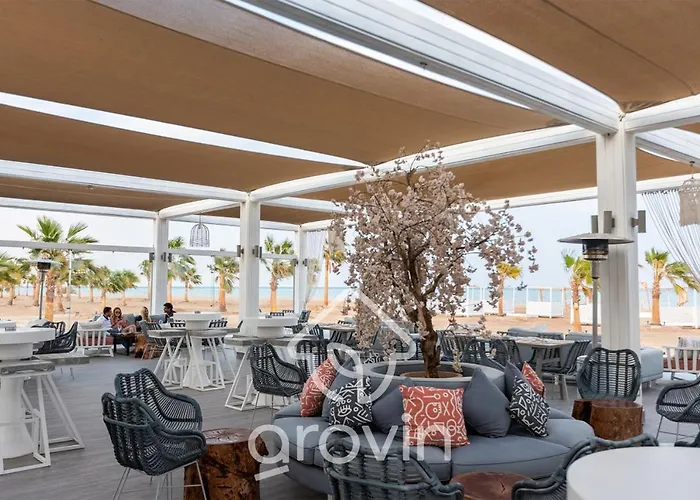 Mangroovy El Gouna - Grovin