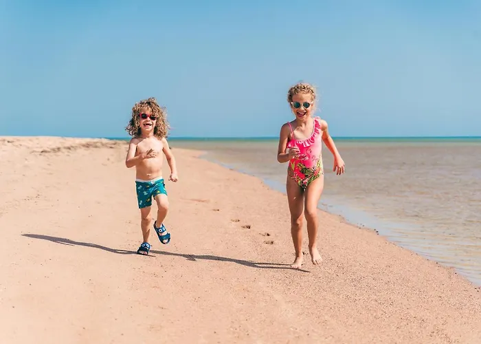 Mangroovy El Gouna - Grovin