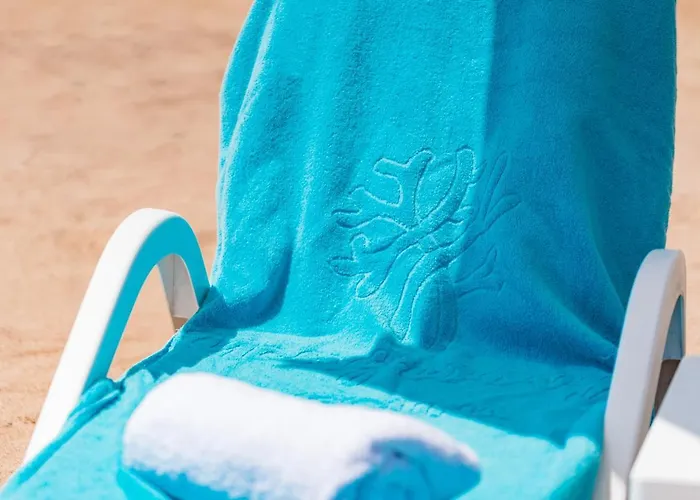 Mangroovy El Gouna - Grovin